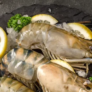 Fresh Sea Prawn
